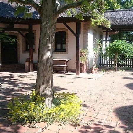 Hotel Hajoskert Vendeghaz Gönyů Exterior foto